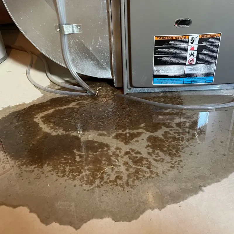 Pipe Burst and Leak Restoration in Jones, OK