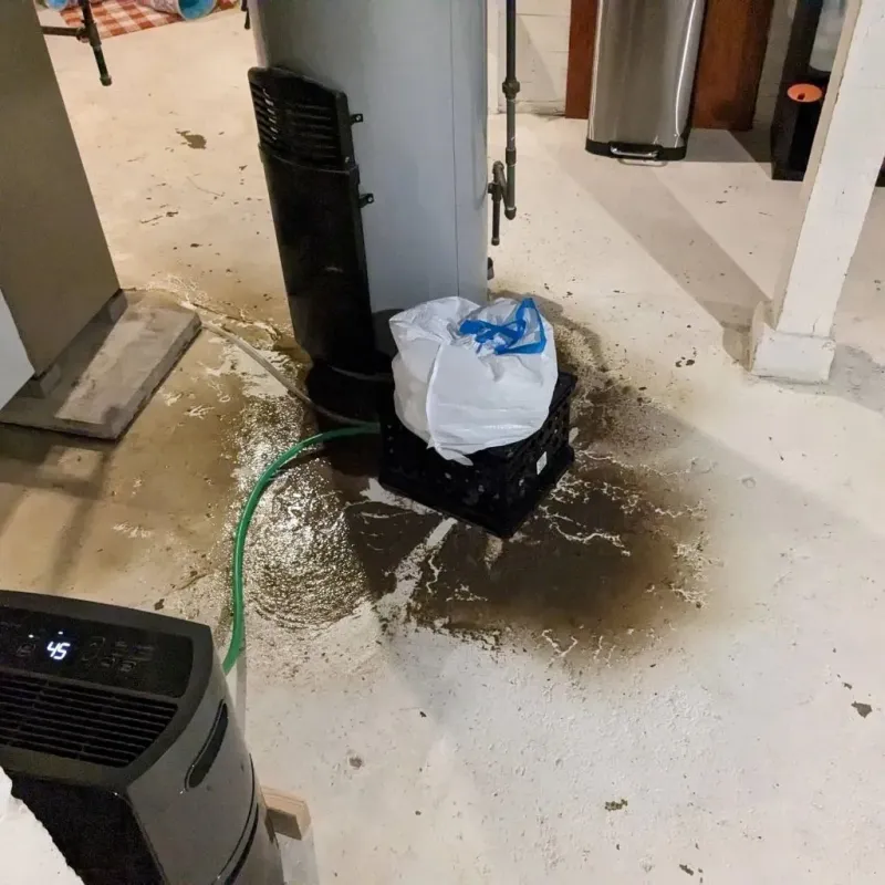 Sewage Backup Cleanup Service in Jones, OK